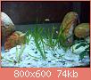         

:  DSC00199.jpg
:  380
:  74,0 KB