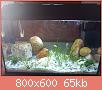         

:  DSC00197.jpg
:  420
:  64,9 KB