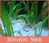         

:  DSC00190.jpg
:  368
:  56,4 KB