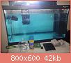         

:  DSC00276.jpg
:  2889
:  41,8 KB