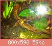         

:  IMG_0313.jpg
:  329
:  59,0 KB
