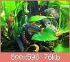         

:  IMG_0314.jpg
:  296
:  76,1 KB