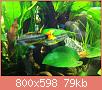         

:  IMG_0317.jpg
:  297
:  79,0 KB