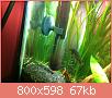         

:  IMG_0318.jpg
:  293
:  67,0 KB