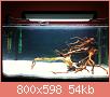         

:  IMG_0322.jpg
:  277
:  53,9 KB