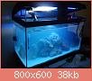         

:  DSC00295.jpg
:  839
:  38,4 KB