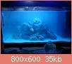         

:  DSC00296.jpg
:  726
:  35,2 KB