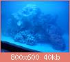         

:  DSC00301.jpg
:  656
:  39,6 KB
