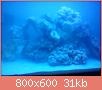         

:  DSC00302.jpg
:  660
:  31,2 KB
