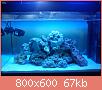        

:  DSC00312.jpg
:  710
:  66,6 KB