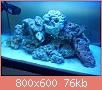         

:  DSC00313.jpg
:  651
:  76,4 KB