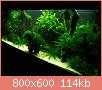         

:  ps2.jpg
:  624
:  113,7 KB