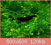         

:  ps5.jpg
:  544
:  120,2 KB