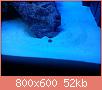         

:  DSC00322.jpg
:  740
:  52,2 KB