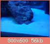         

:  DSC00323.jpg
:  639
:  55,6 KB