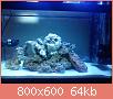         

:  DSC00328.jpg
:  916
:  63,7 KB