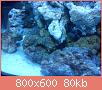         

:  DSC00329.jpg
:  618
:  79,9 KB