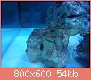         

:  DSC00330.jpg
:  623
:  54,4 KB