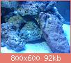         

:  DSC00331.jpg
:  559
:  91,9 KB