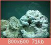         

:  DSC00332.jpg
:  591
:  70,6 KB