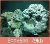         

:  DSC00333.jpg
:  604
:  78,6 KB