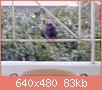         

:  moto_0560.jpg
:  627
:  82,9 KB