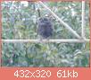         

:  moto_0561.jpg
:  577
:  61,0 KB