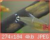         

:  images (1).jpg
:  509
:  4,0 KB
