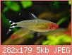         

:  images.jpg
:  336
:  5,1 KB