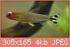         

:  images (2).jpg
:  366
:  4,1 KB