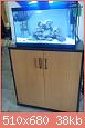         

:  DSC00400.jpg
:  615
:  37,6 KB
