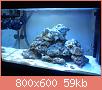         

:  DSC00383.jpg
:  564
:  58,7 KB