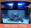        

:  DSC00409.jpg
:  1152
:  57,4 KB