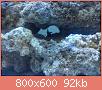         

:  DSC00354.jpg
:  608
:  91,6 KB