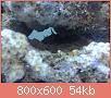         

:  DSC00361.jpg
:  557
:  53,8 KB