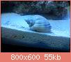         

:  DSC00394.jpg
:  588
:  54,7 KB