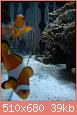         

:  DSC00424.jpg
:  563
:  38,9 KB