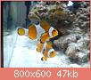         

:  DSC00421.jpg
:  617
:  46,9 KB