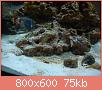         

:  DSC00428.jpg
:  548
:  75,4 KB