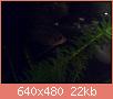        

:   008.jpg
:  227
:  21,9 KB