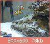         

:  DSC00482.jpg
:  638
:  73,5 KB