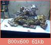         

:  DSC00488.jpg
:  642
:  60,6 KB