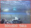         

:  DSC00490.jpg
:  724
:  54,0 KB