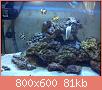        

:  DSC00492.jpg
:  933
:  81,1 KB