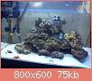         

:  DSC00495.jpg
:  623
:  75,1 KB
