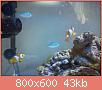        

:  DSC00521.jpg
:  654
:  43,0 KB