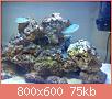         

:  DSC00518.jpg
:  641
:  75,1 KB