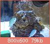         

:  DSC00501.jpg
:  578
:  79,1 KB