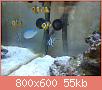         

:  DSC00505.jpg
:  623
:  55,1 KB