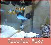         

:  DSC00504.jpg
:  601
:  50,3 KB